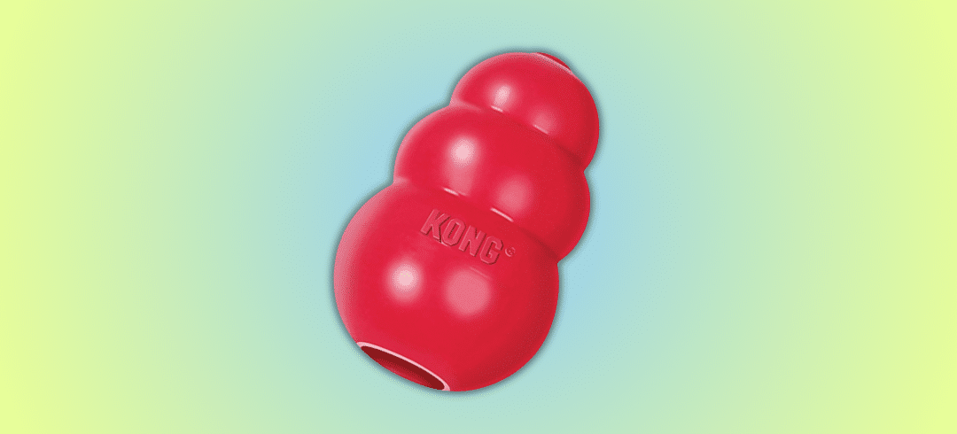 The Most Popular Dog Toys of the Year 