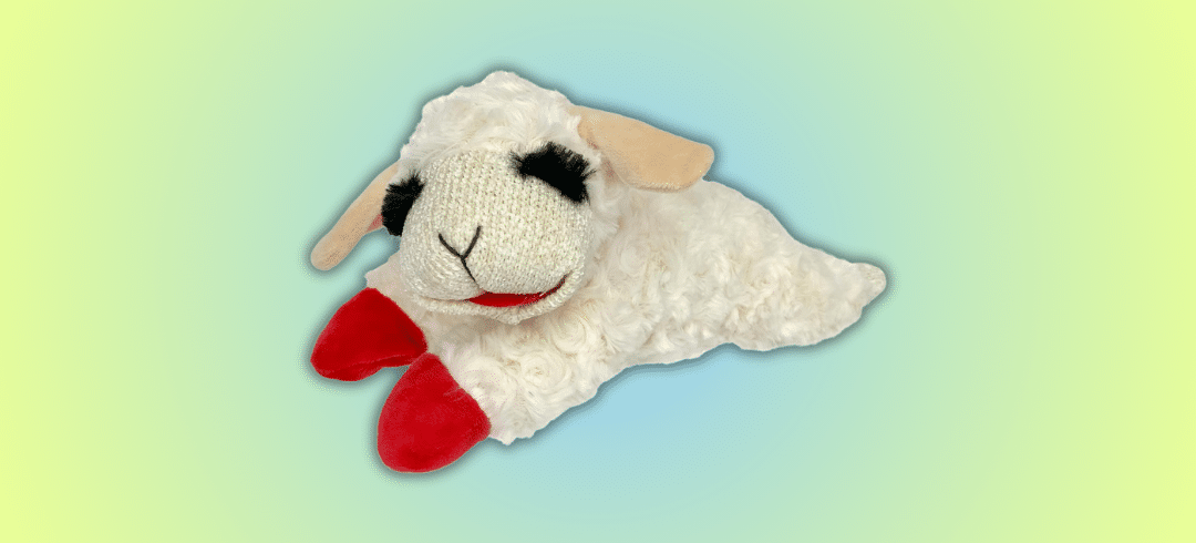 The Most Popular Dog Toys of the Year 
