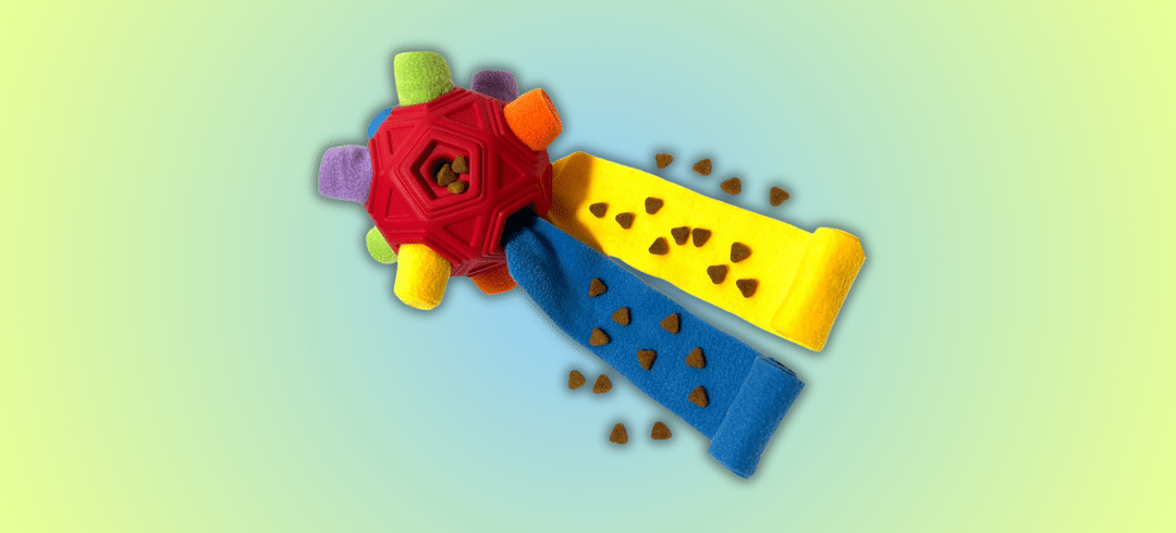 The Most Popular Dog Toys of the Year 