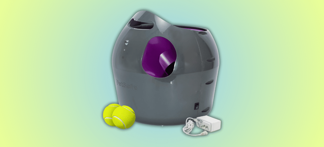 The Most Popular Dog Toys of the Year 