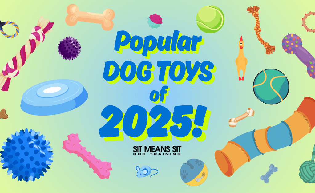 The Most Popular Dog Toys of the Year