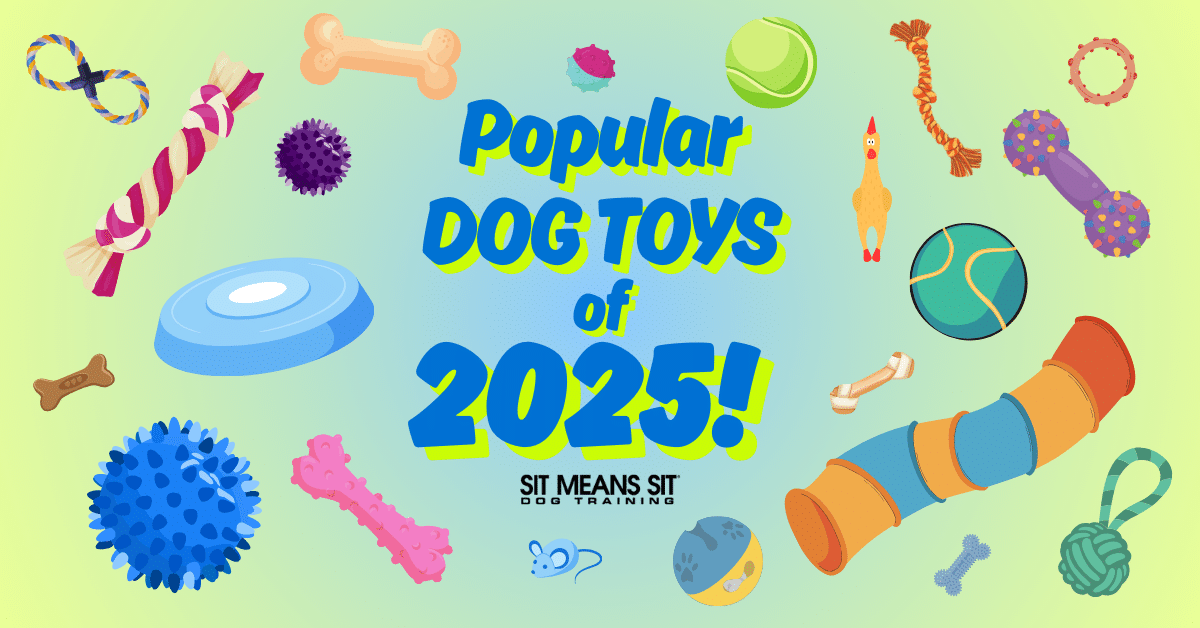 The Most Popular Dog Toys of the Year