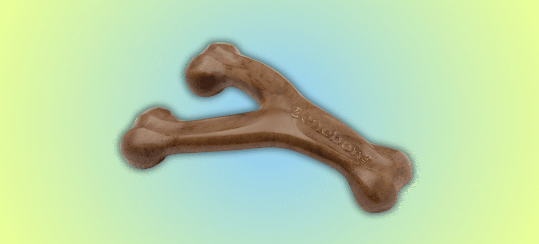 The Most Popular Dog Toys of the Year 