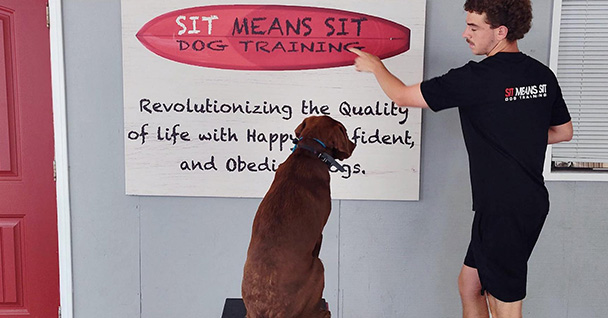 Obedience Training