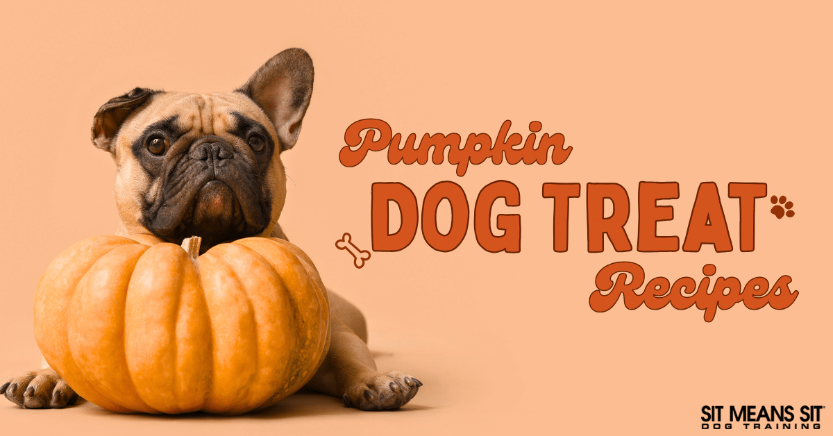 Pumpkin Dog Treat Recipes for Fall