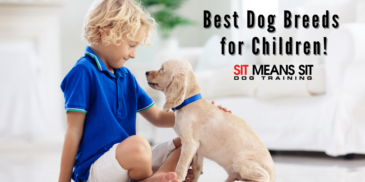 Best Dog Breeds for Children