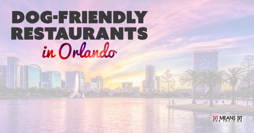 Dog-Friendly Restaurants in Orlando