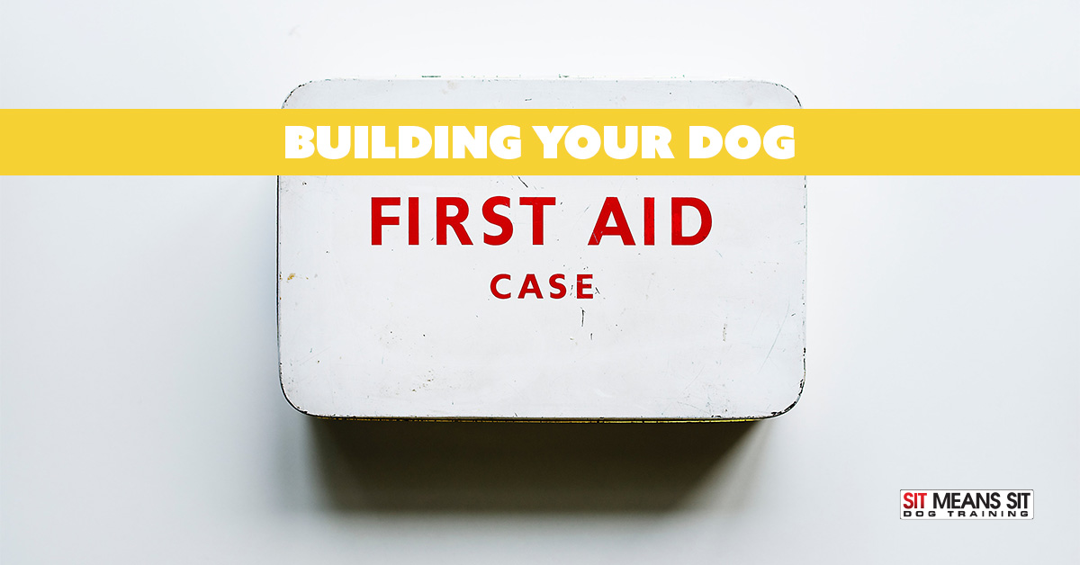 Building Your Dog First Aid Kit