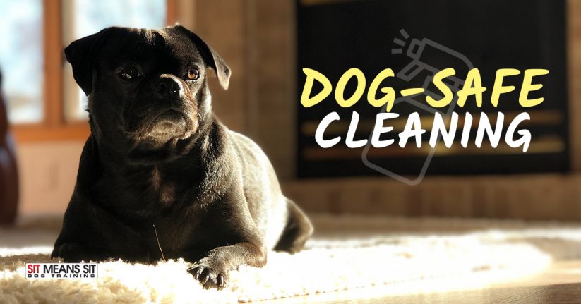 Household Cleaning Products that are Safe for Dogs