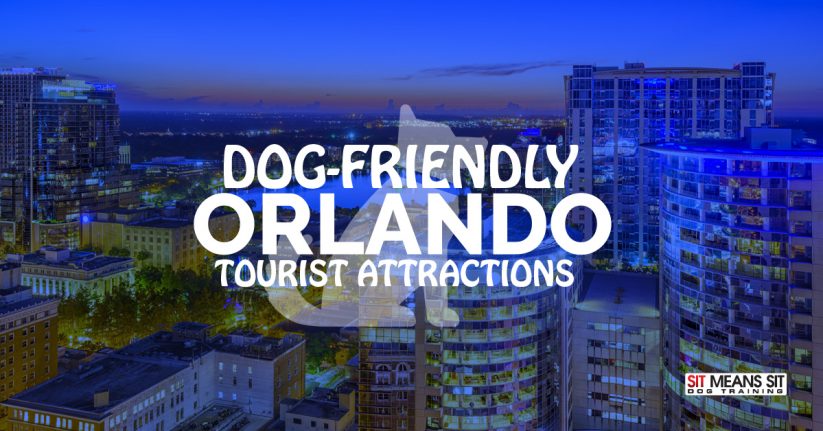 Dog-Friendly Orlando Tourist Attractions