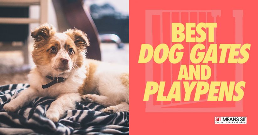 Best Dog Gates and Playpens for Dogs
