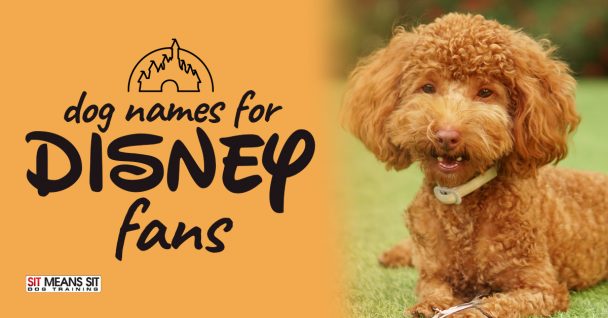 Dog Names for Disney Fans