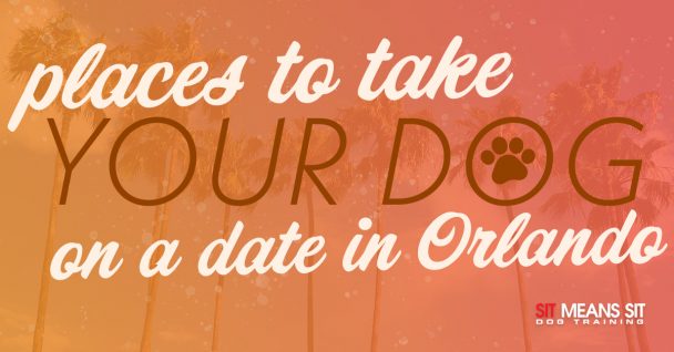 Places To Take Your Dog on a Date in Orlando