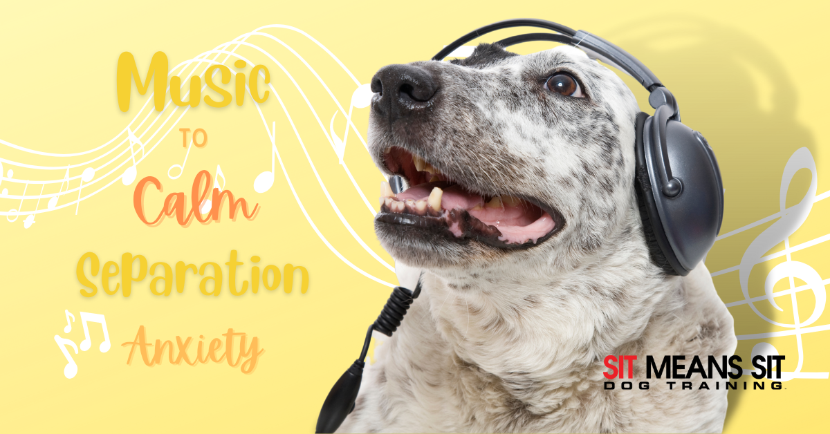 Using Music to Calm Separation Anxiety