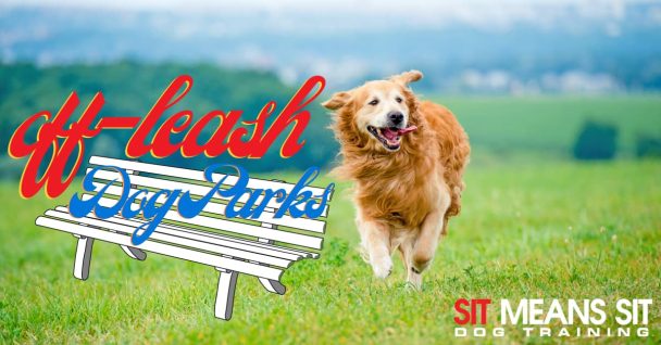 Off-Leash Dog Parks in Orlando