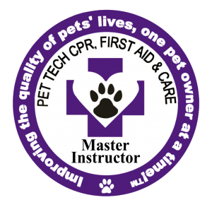 Patch_master_Instructor1_2012