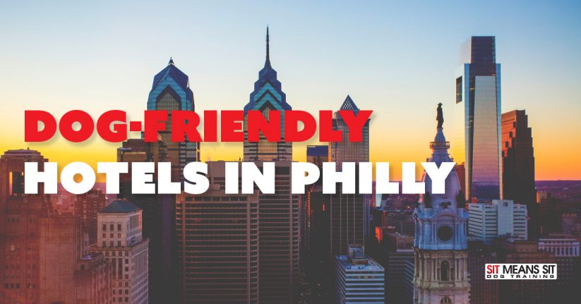 Dog-Friendly Hotels in Philadelphia