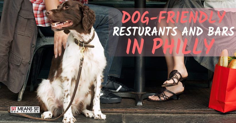 The Best Dog-Friendly Restaurants & Bars in Philly
