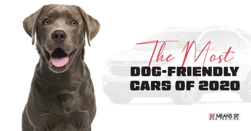 2020 Most Dog-Friendly Cars