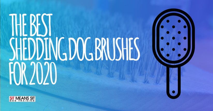 The Best Shedding Dog Brushes for 2020