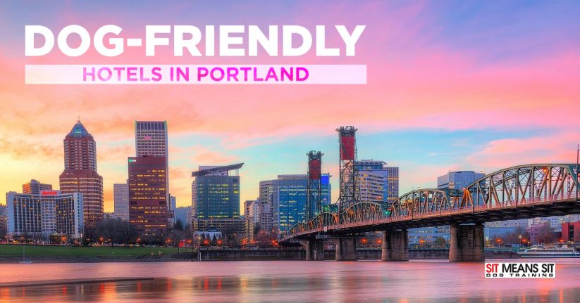 Dog-Friendly Hotels in Portland