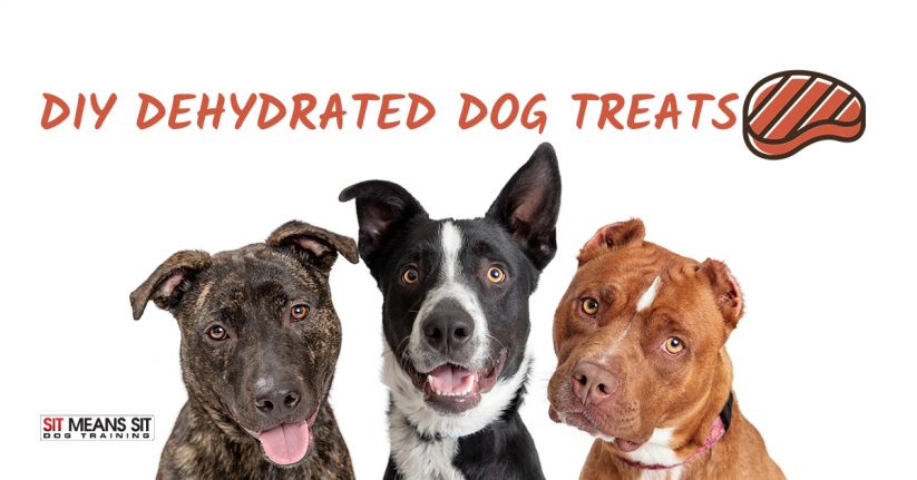 DIY Dehydrated Dog Treats