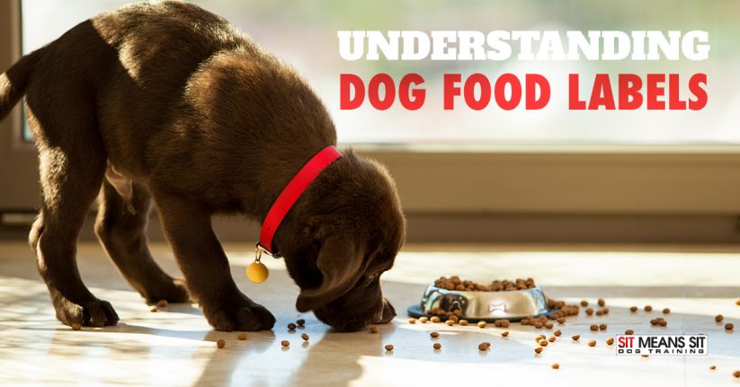 How to Read Dog Food Labels