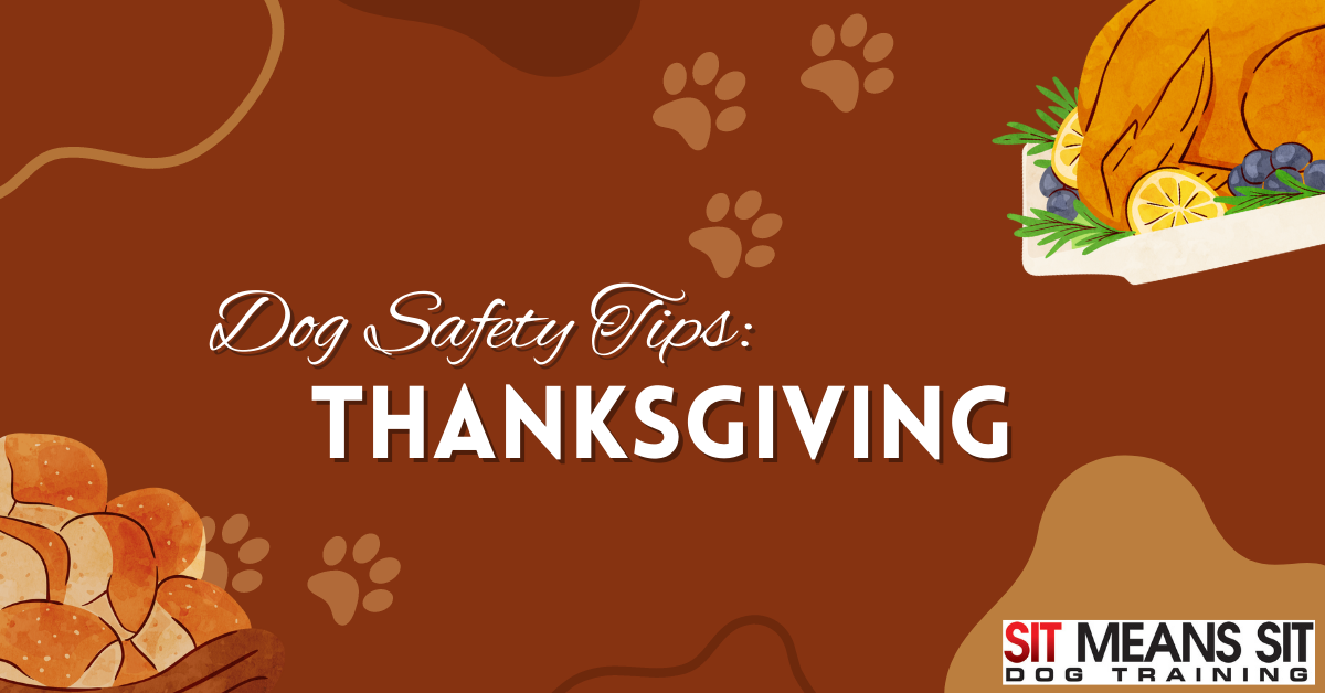 Thanksgiving Safety Tips