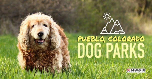 Pueblo, Colorado Dog Parks – A golden retriever running in the grass with text overlay promoting dog parks in Pueblo, Colorado.