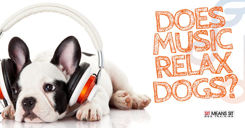 Music and Dog Relaxation