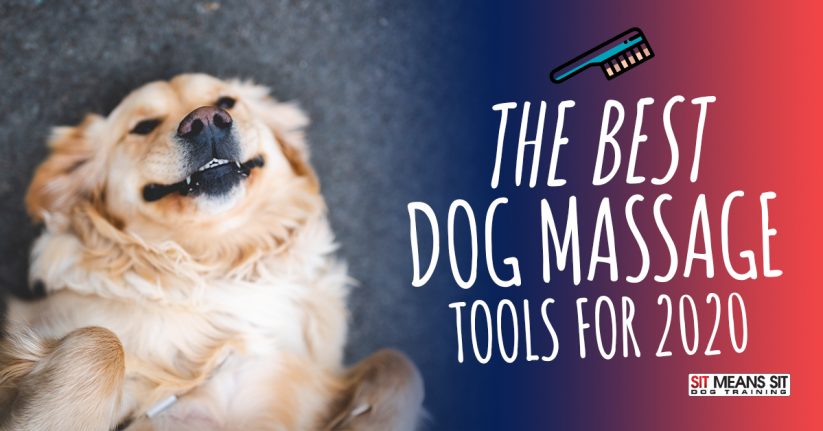 The Best Dog Massage Tools of 2020