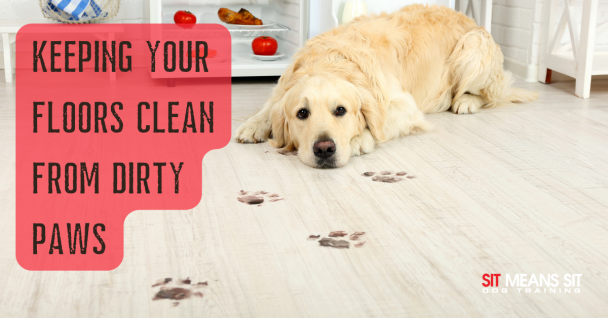 Keeping Floors Clean from Dirty Paws – A Golden Retriever lying on a light-colored floor with muddy paw prints leading to an open refrigerator, with the text "Keeping Your Floors Clean from Dirty Paws" and the "Sit Means Sit Dog Training" logo.
