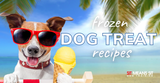 A selection of frozen dog treat recipes, perfect for keeping dogs cool and happy during the summer months.