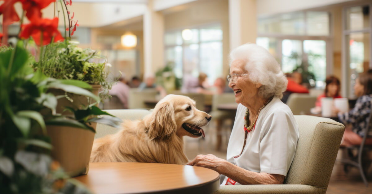 a lady sitting, laughing with her golden retriever