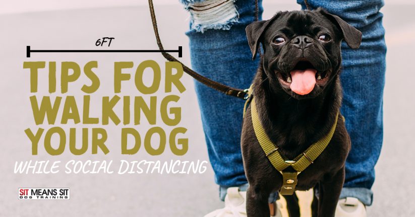 Tips for Walking Your Dog While Social Distancing