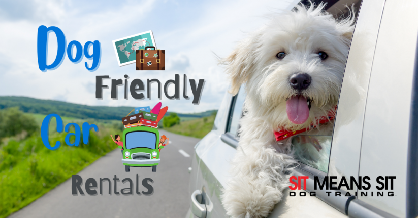 Pet Friendly Rental Cars