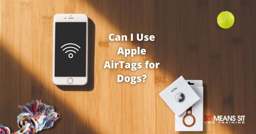 Can I Use Apple AirTags for Dogs?