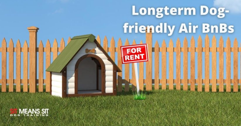 dog house with for rent sign dog friendly air bnb