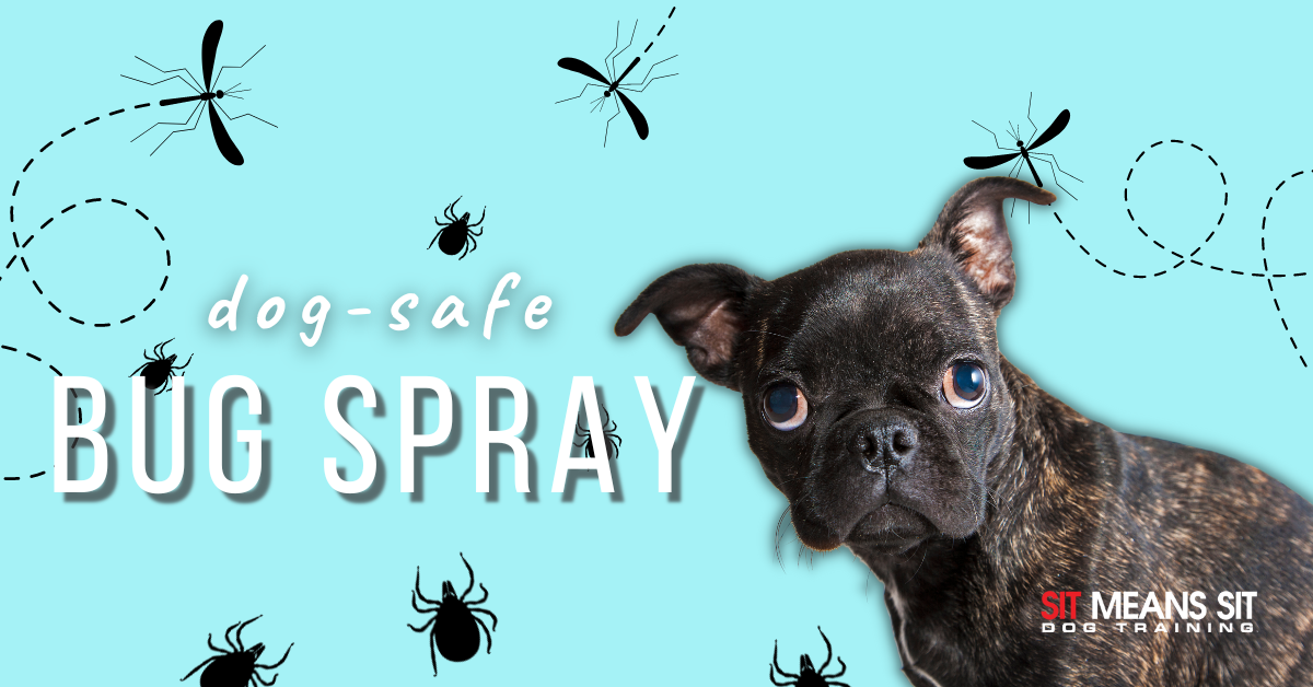 dog-safe bug spray poster