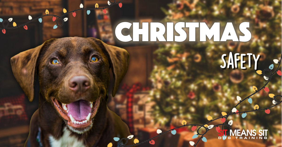 Christmas safety poster with a smiling dog