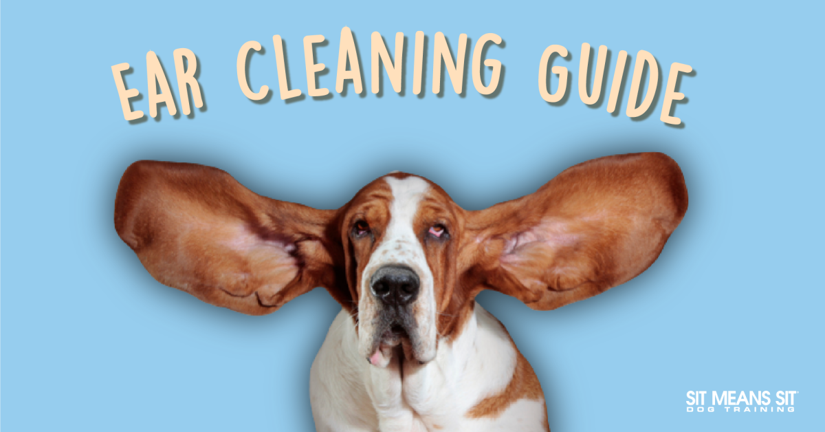 Ear Cleaning Guide poster