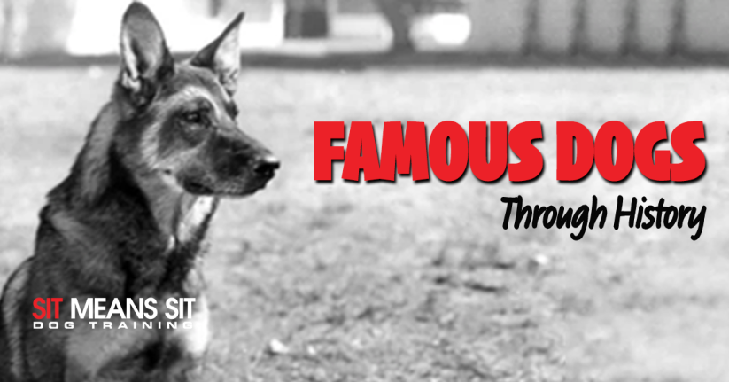 The Most Famous Dogs Throughout History