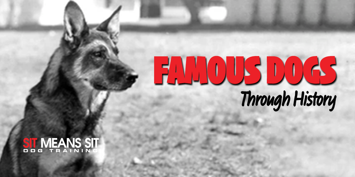 The Most Famous Dogs Throughout History