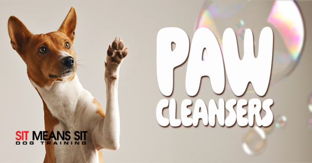 Top Dog Paw Cleansers Reviewed