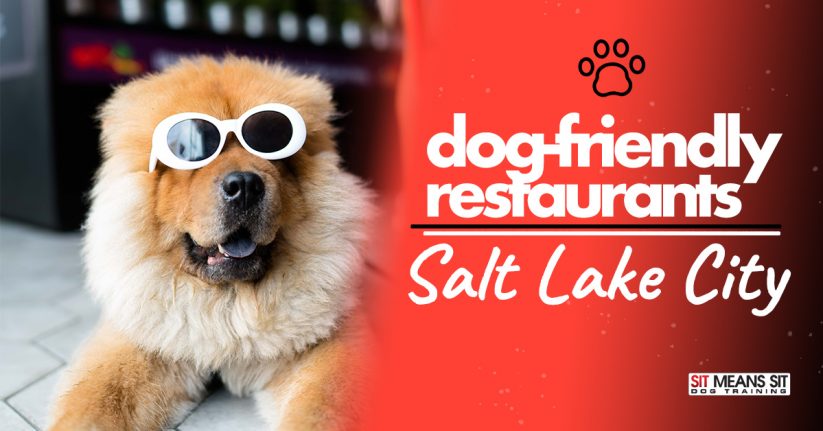 Dog Friendly Restaurants in Salt Lake City