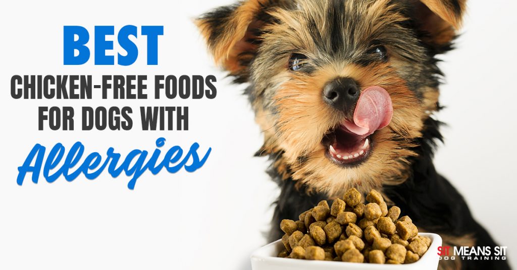 ChickenFree Foods for Dogs With Sensitivities or Allergies