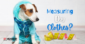 Measuring Your Dog for Clothes