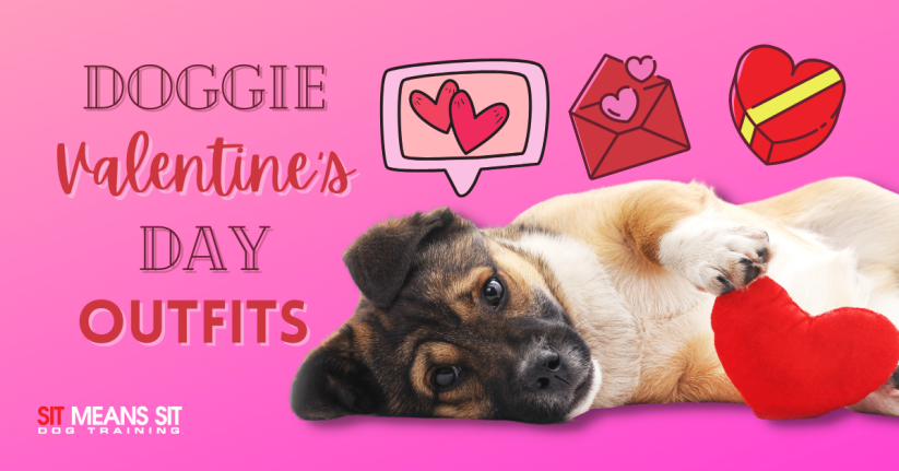 Valentine's Day Outfits for Your Furry Friend