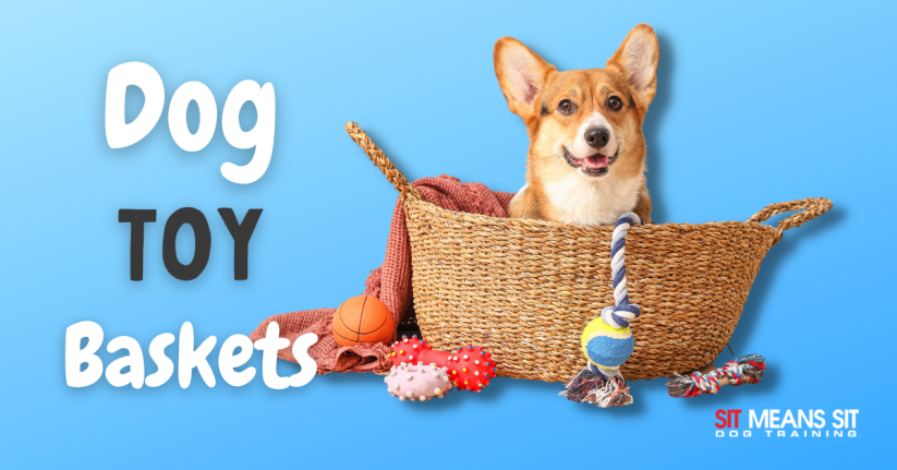 Check Out These Fantastic Dog Toy Baskets