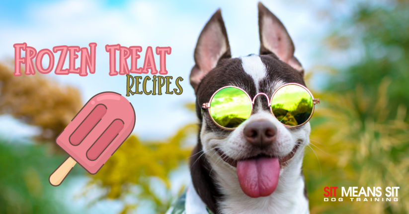 Frozen Dog Treat Recipes To Help Your Pup Beat The Heat